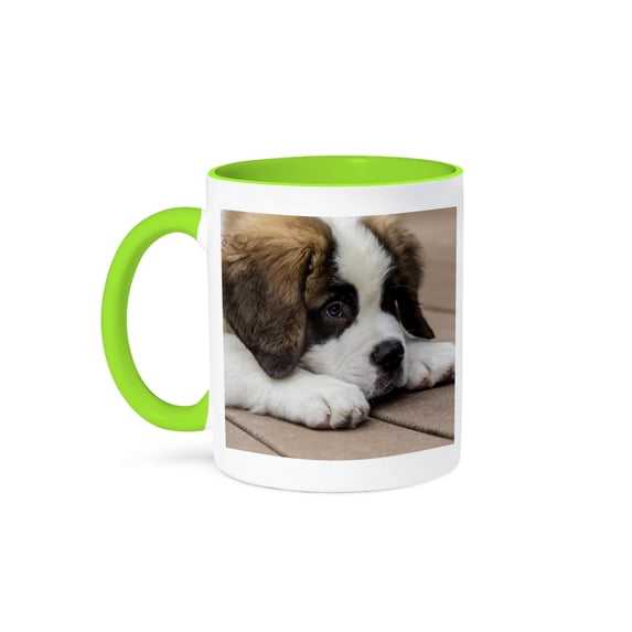Three Month Old Saint Bernard Puppy Looking Tired As He Rests. , 15oz Two-Tone Green Mug
