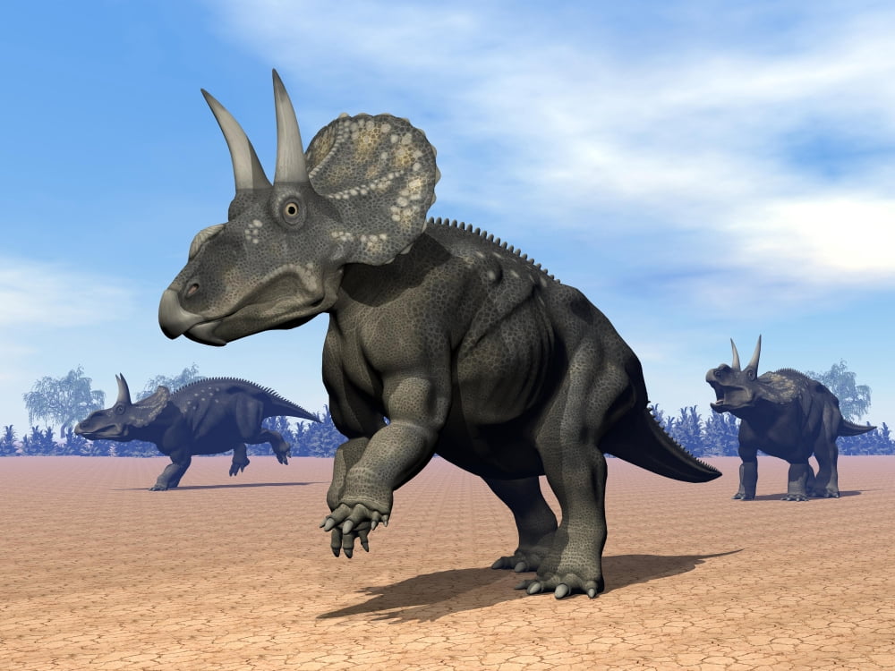 Three Nedoceratops in the desert by daylight Canvas Art - Elena DuvernayStocktrek Images (33 x 25)