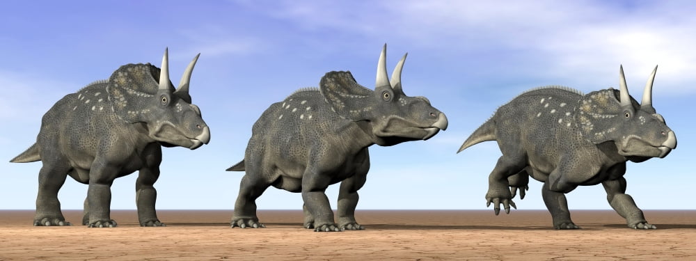 Three Nedoceratops standing in the desert Canvas Art - Elena DuvernayStocktrek Images (46 x 18)