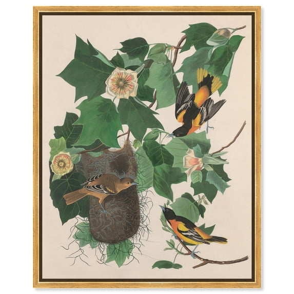 Three Orioles Canvas Print Vintage Art by Art Remedy, Gold Frame, 36 x 45