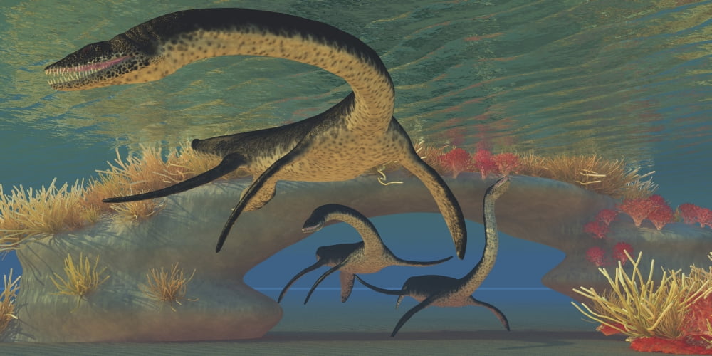 Three Plesiosaurus dinosaurs swim near a natural coral reef bridge Canvas Art - Corey FordStocktrek Images (40 x 20)