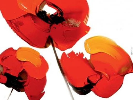 Three Poppies - White Canvas Art - Tibi Hegyesi (18 x 24)