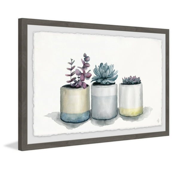 Three Potted Succulents Framed Painting Print