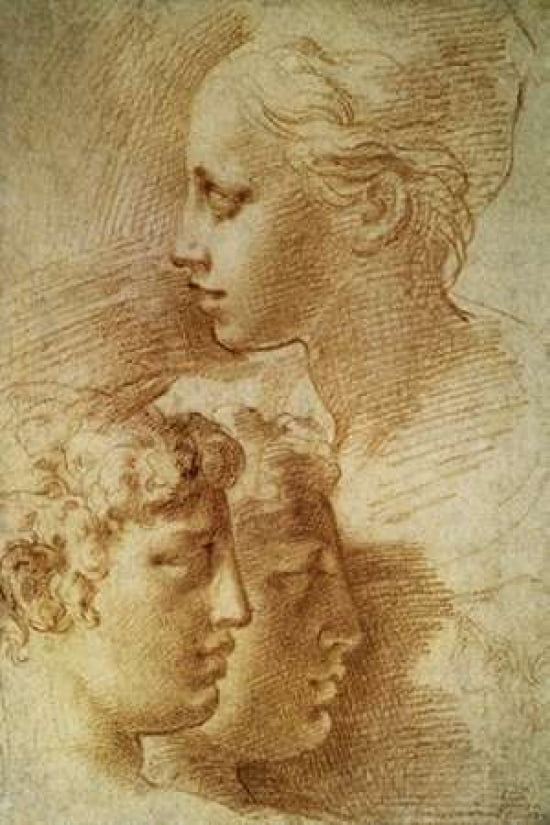 Three Profiles Canvas Art - Parmigianino (12 x 18)