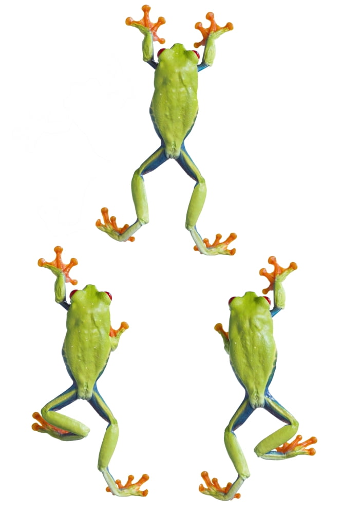 Three Red Eyed Tree Frogs Climbing Canvas Art - Corey Hochachka Design Pics (11 x 17)