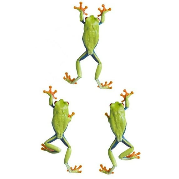 Three Red Eyed Tree Frogs Climbing Poster Print