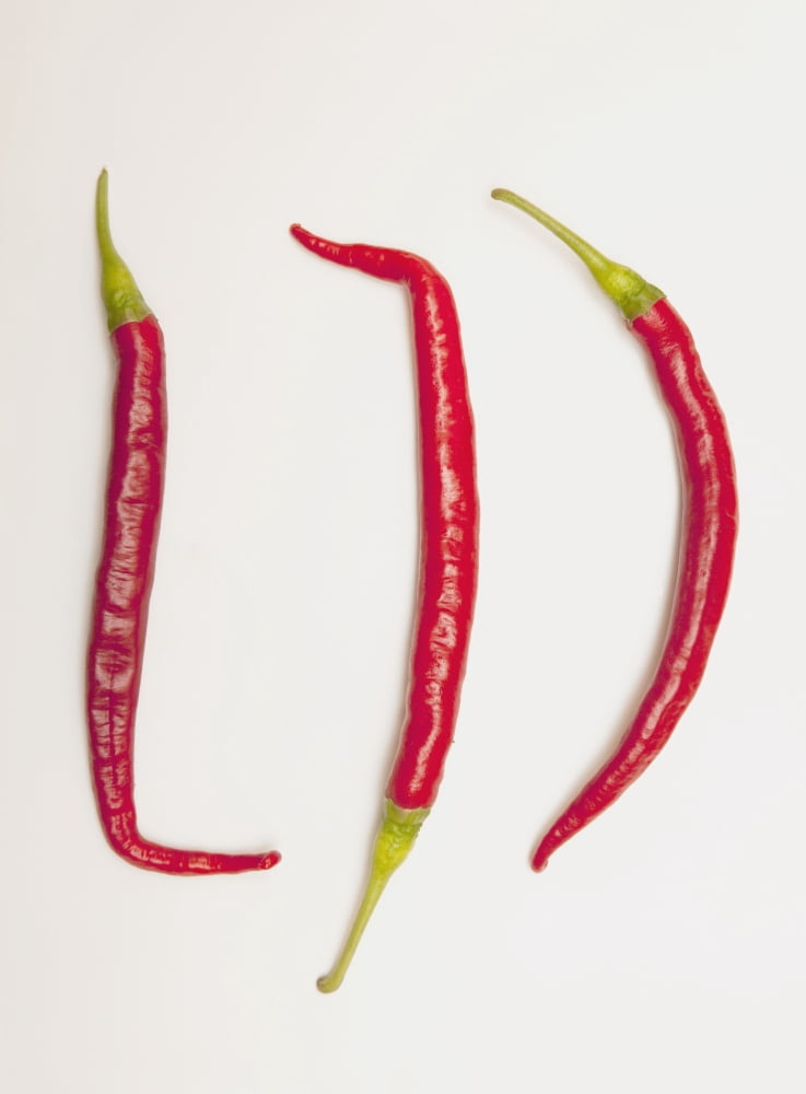 Three Red Jalapeno Peppers Canvas Art - John Short  Design Pics (13 x 18)