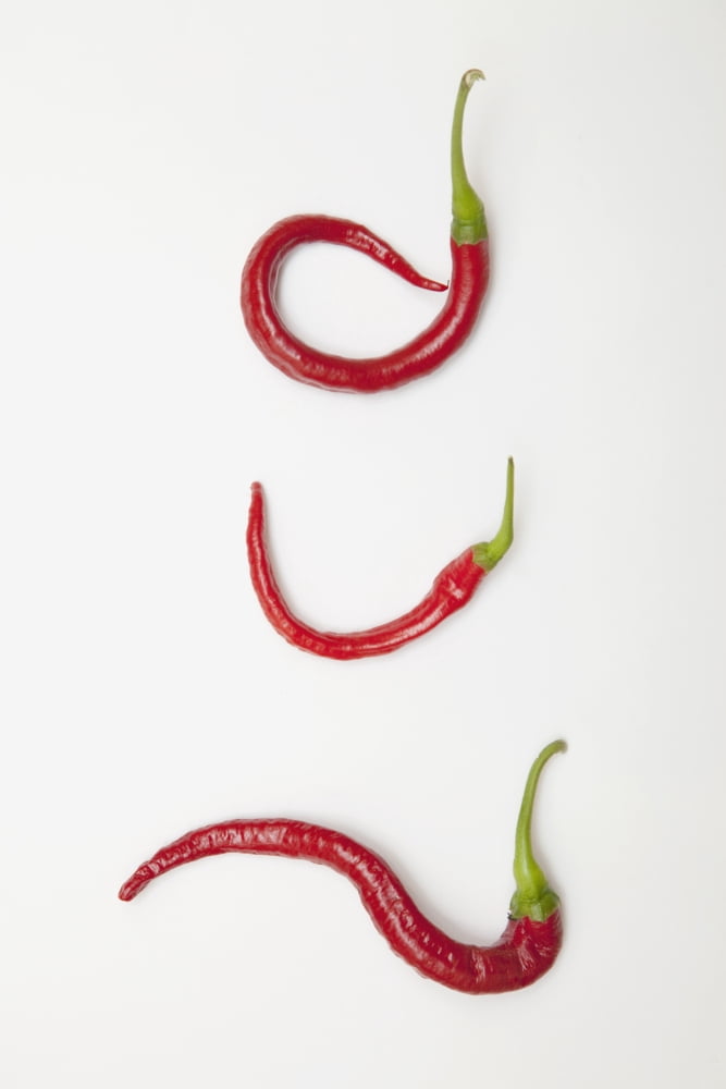 Three Red Jalapeno Peppers Curled Into Unique Shapes Canvas Art - John Short Design Pics (24 x 38)