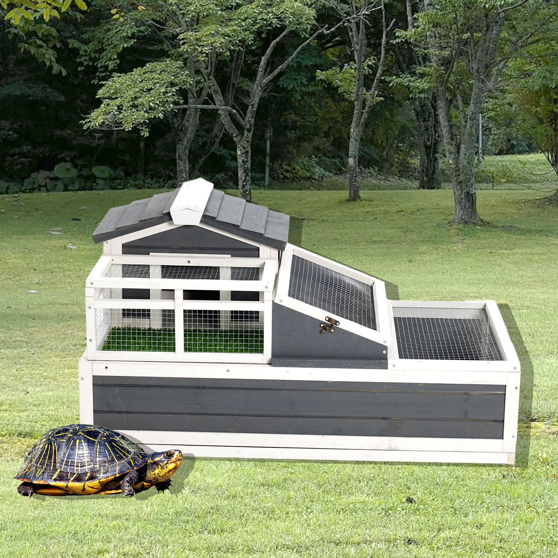 Tortoise Lifespan, image size:1832x1832