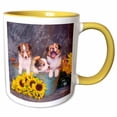 thumbnail image 1 of 3drose, Three Shetland Sheepdog Puppies in a Gardening Can, Mr,, 11oz Two-tone Yellow Mug, 1 of 6