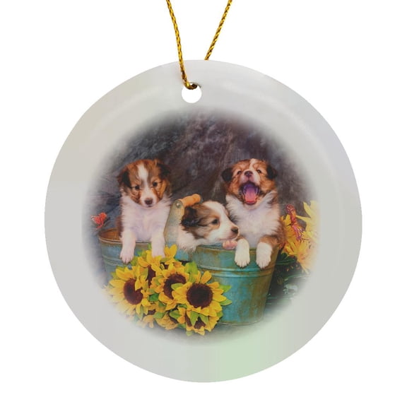 3drose, Three Shetland Sheepdog Puppies in a Gardening Can, Mr,, Circle Porcelain Ornament