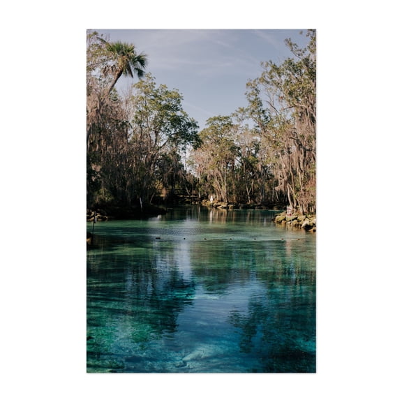 Three Sisters Springs - Crystal River Florida Photography Nature Tropical Lake Scenic Water Wilderness Woodland Unframed Wall Art Print 4 x 6 inches