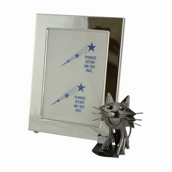 Three Star Import & Export ZA450 5 x 7 in. Picture Frame with Cat