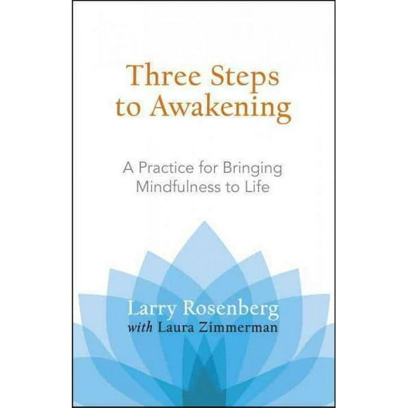 Three Steps to Awakening : A Practice for Bringing Mindfulness to Life (Paperback)