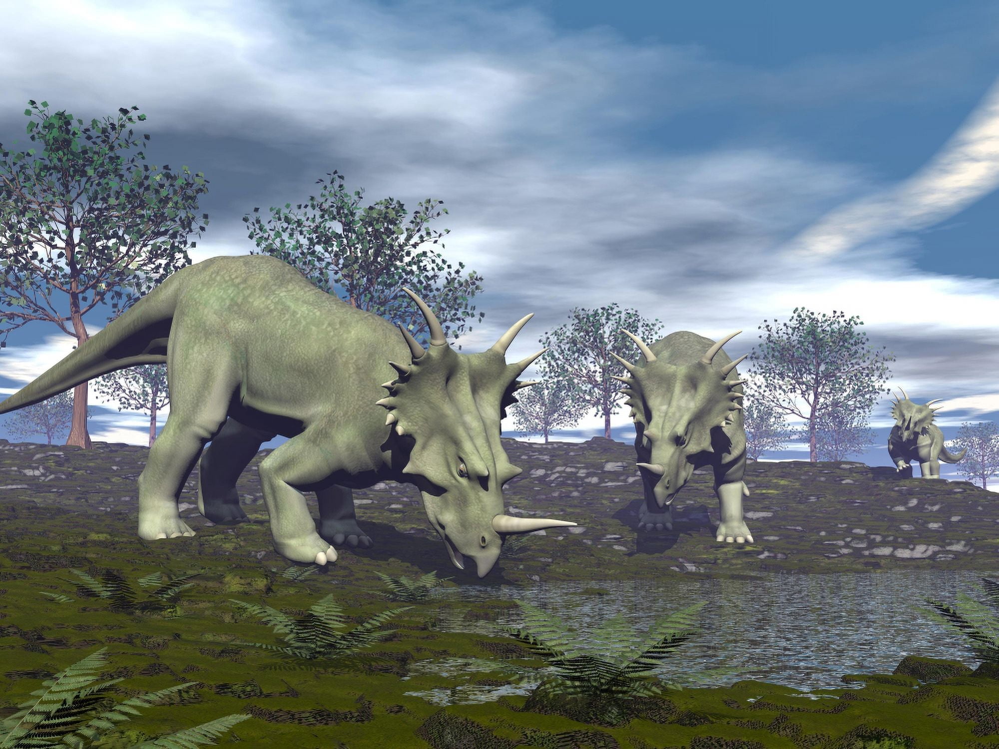 Three Styracosaurus dinosaurs drinking from a nearby lake Canvas Art - Elena DuvernayStocktrek Images (17 x 13)