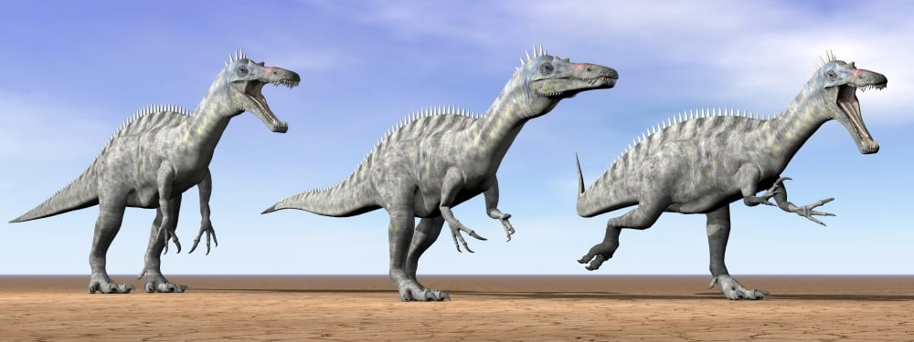 Three Suchomimus dinosaurs standing in the desert Canvas Art - Elena DuvernayStocktrek Images (46 x 18)