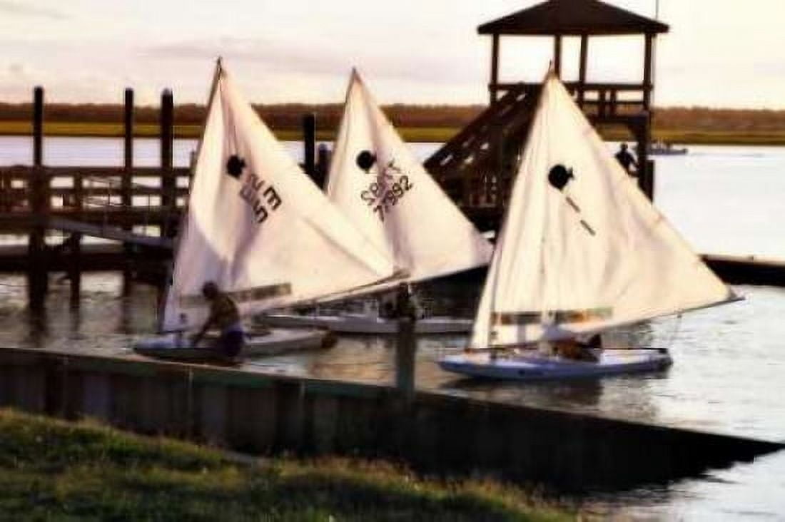 Three Sunfish II Canvas Art - Alan Hausenflock (20 x 28)