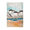 thumbnail image 1 of Three Terns Kitchen Towel - 16x25, 1 of 2