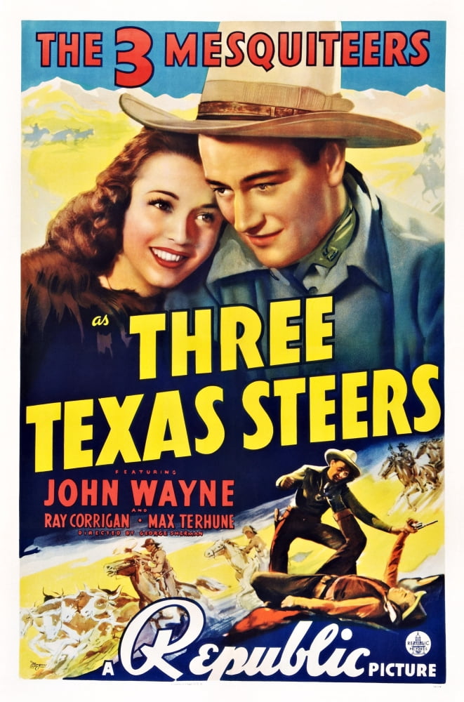 Three Texas Steers U Canvas Art - (24 x 36)