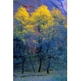 thumbnail image 1 of Three Thin Autumnal Trees In Front Of Rock Cliff Poster Print (11 x 17), 1 of 2