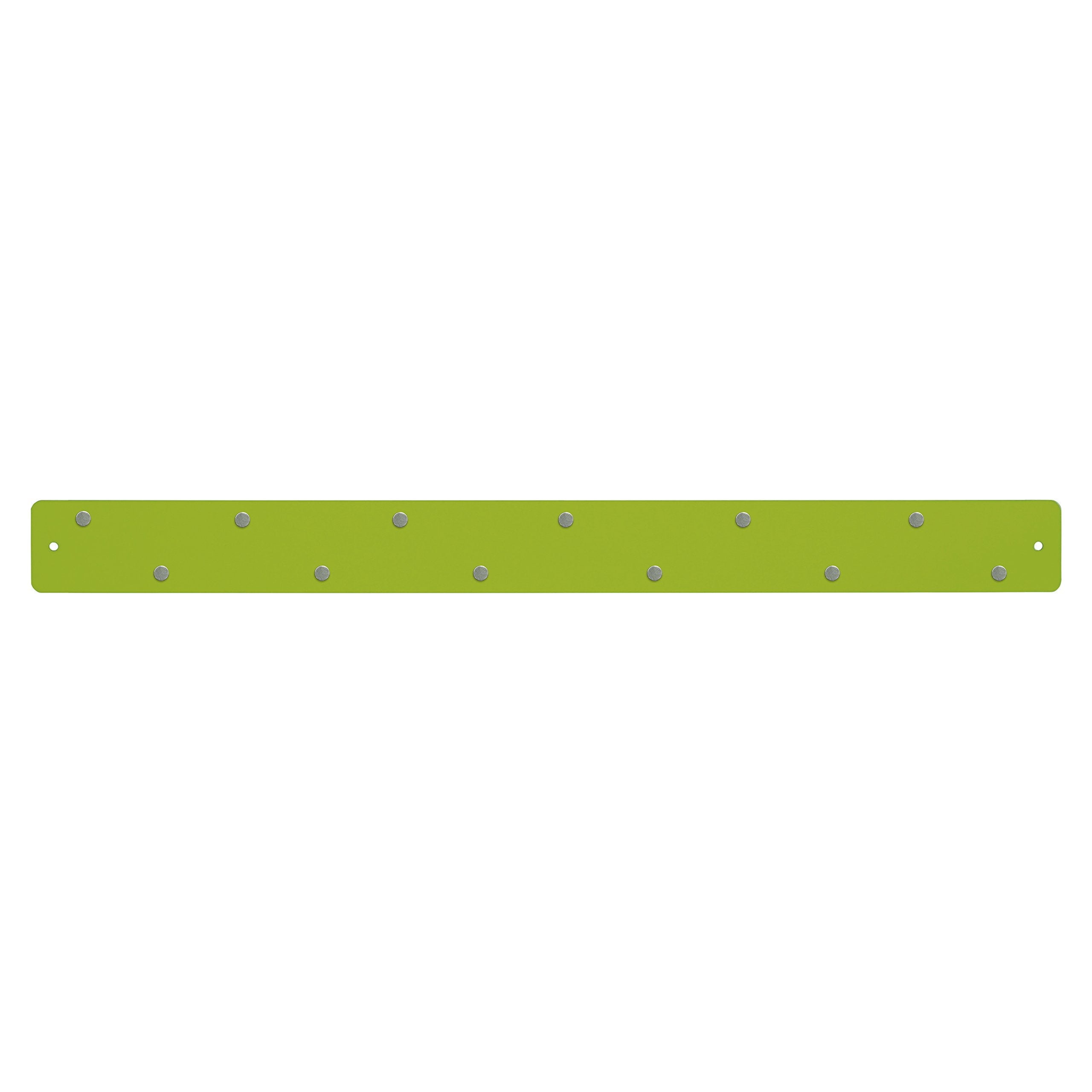 Spring Green Metal Magnetic Strip Bulletin Board with 12 Magnets