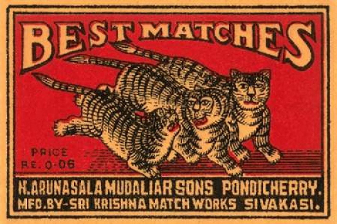 Three Tiger - Best Matches Canvas Art - Phillumenart (24 x 36)