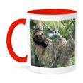 thumbnail image 1 of 3dRose, Three-toed sloth wildlife, Corcovado NP, Costa Rica - SA22 KSC0137 - Kevin Schafer, 11oz Two-Tone Red Mug, 1 of 7