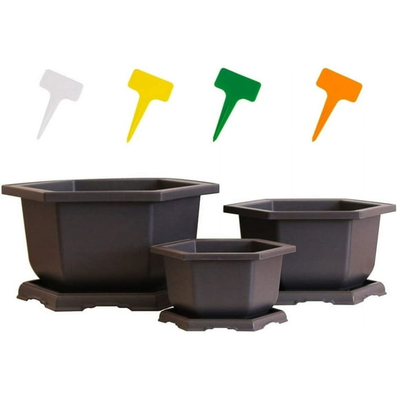 Three Training Plastic Hexagonal Bonsai Pot and Trays + 12 T-Shaped Markers