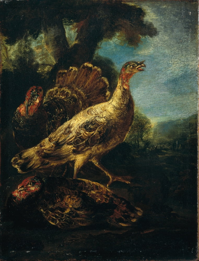 Three Turkeys Canvas Art - (18 x 24)