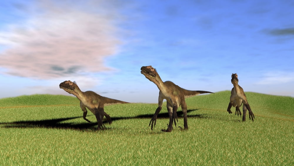 Three Utahraptors running across a grassy field Canvas Art - Kostyantyn IvanyshenStocktrek Images (38 x 22)