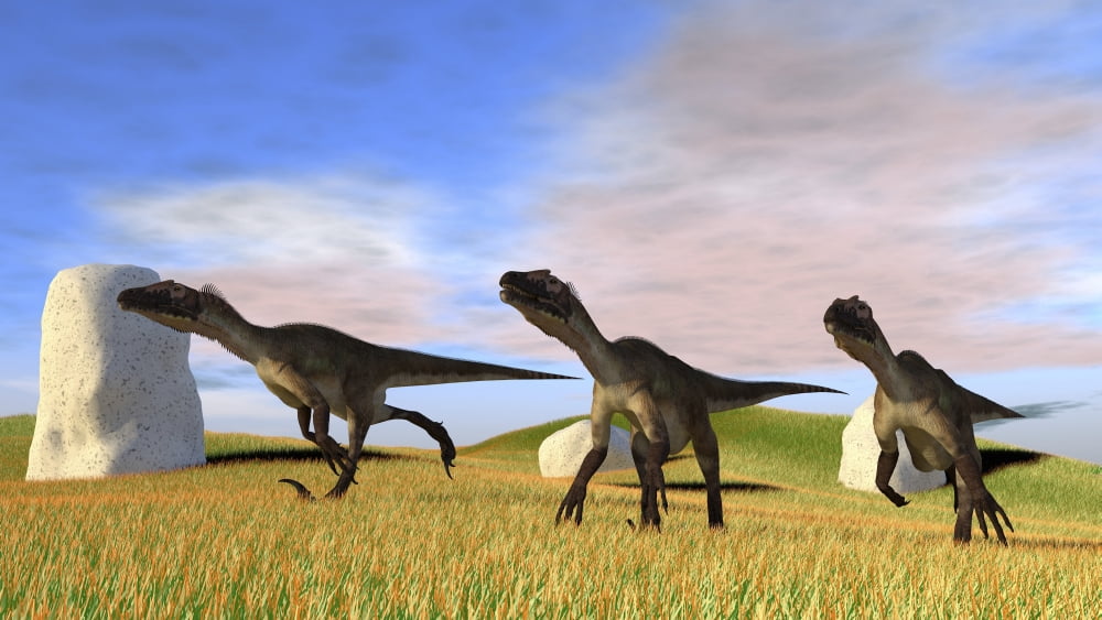 Three Utahraptors running across a grassy field Canvas Art - Kostyantyn IvanyshenStocktrek Images (38 x 22)