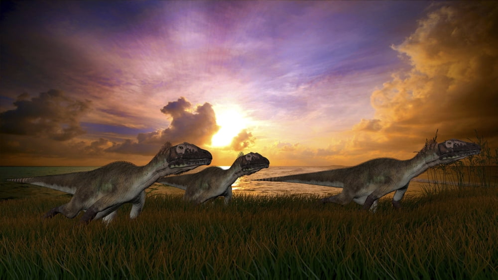 Three Utahraptors running across prehistoric grasslands at sunset Canvas Art - Kostyantyn IvanyshenStocktrek Images (19 x 11)