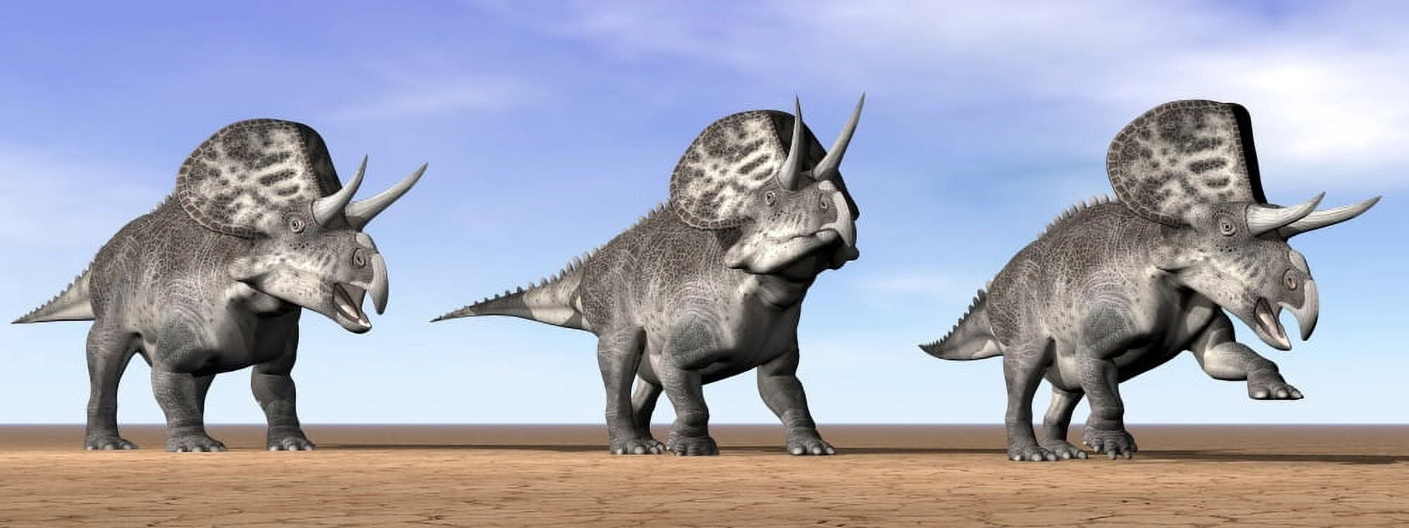 Three Zuniceratops standing in the desert Canvas Art - Elena DuvernayStocktrek Images (23 x 9)