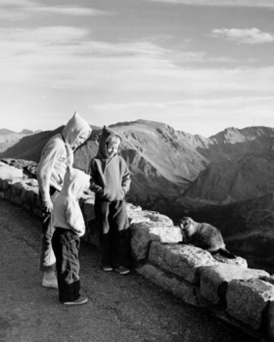 Three boys looking at a Hoary Marmot Rocky Mountain National Park Colorado USA Canvas Art - (24 x 36)