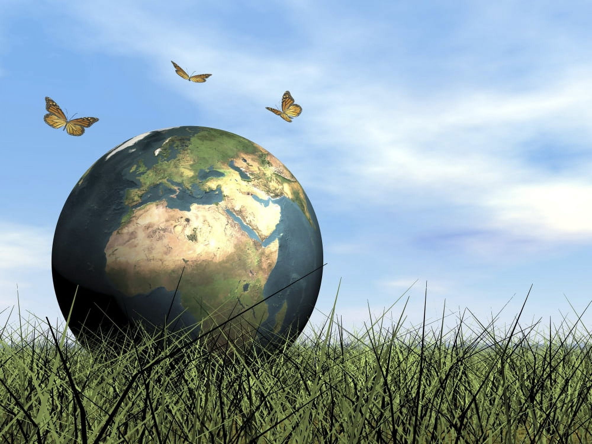 Three butterflies flying around Earth globe Canvas Art - Elena DuvernayStocktrek Images (33 x 25)
