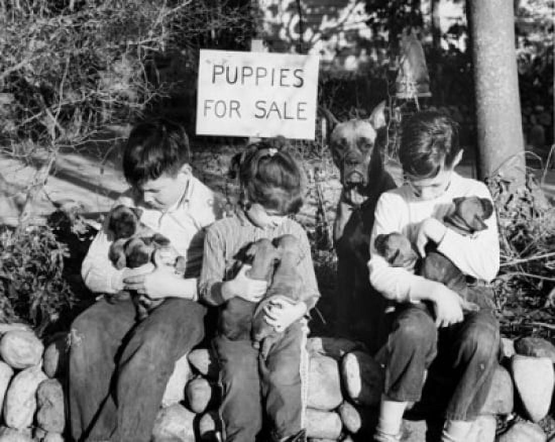 Three children sitting and holding puppies Canvas Art - (18 x 24)
