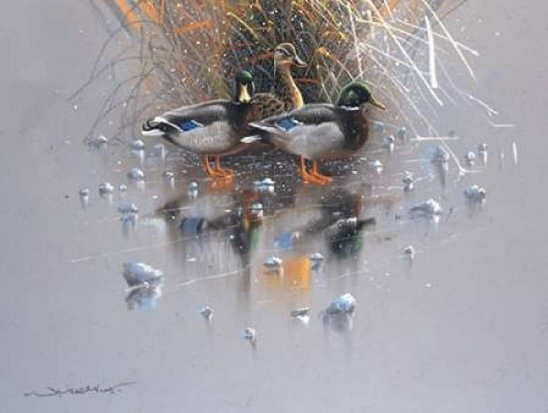 Three ducks Canvas Art - Jan Weenink (22 x 28)