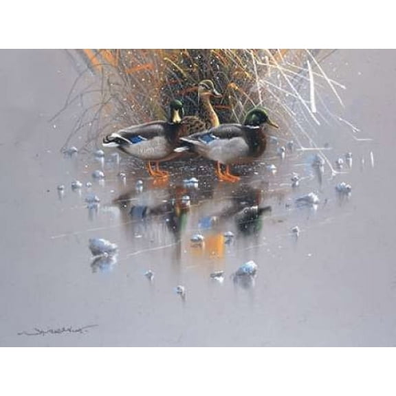 Three ducks Poster Print by Jan Weenink (11 x 14)