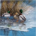 thumbnail image 1 of Three ducks on ice Poster Print by Jan Weenink, 1 of 2