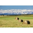 thumbnail image 1 of Three hay bales in a field with mountains in the background slightly snow covered and cloudy with blue sky; Alberta Can, 1 of 3
