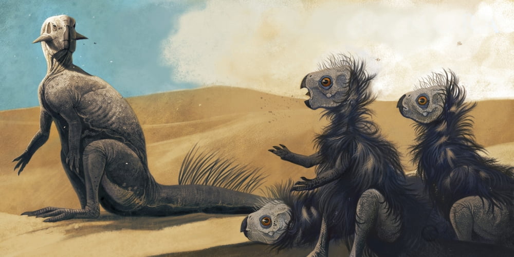 Three juvenile Psittacosaurus sinensis under the supervision of an adult Canvas Art - Roman Garcia MoraStocktrek Images (40 x 20)