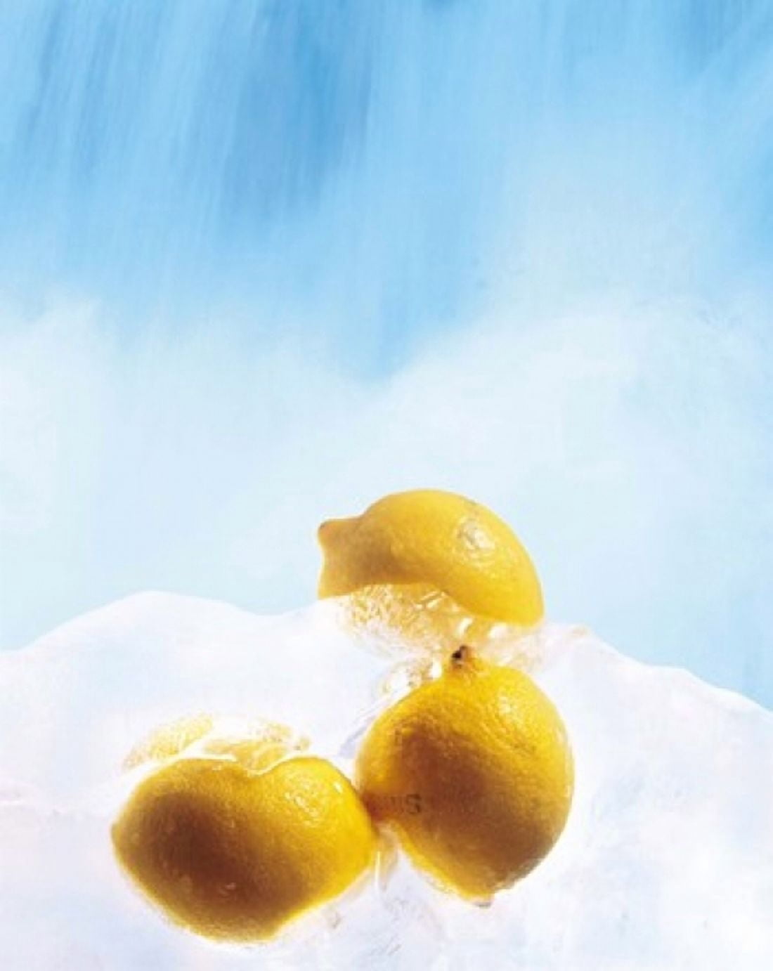 Three lemons frozen in ice below ice blue sky Canvas Art - Panoramic Images (29 x 36)