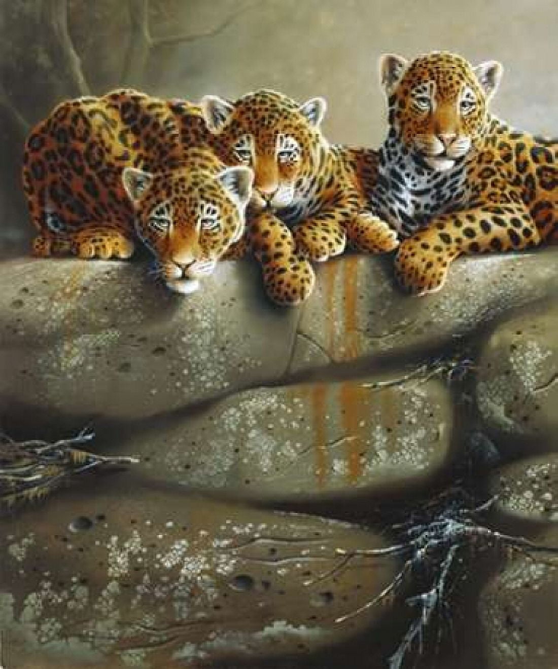 Three little tigers Canvas Art - Jan Weenink (20 x 24)