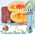 Threepiece Set Of Melon And Fruit Separator To Remove Meat Platter
