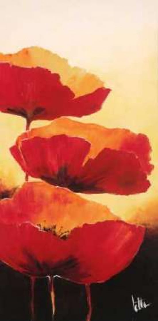 Three red popppies I Canvas Art - Jettie Roseboom (24 x 48)