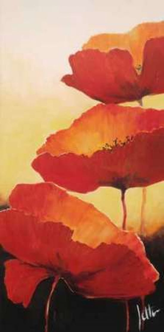 Three red popppies II Canvas Art - Jettie Roseboom (24 x 48)