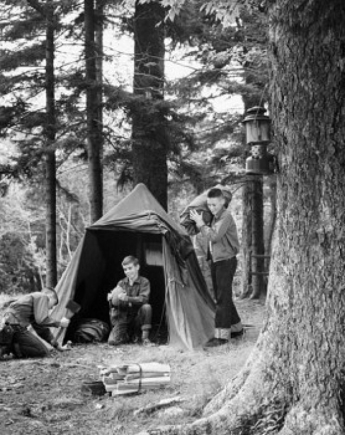 Three teenage boys camping in a forest Canvas Art - (18 x 24)