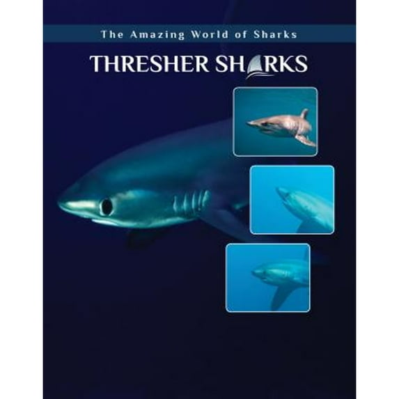 Pre-Owned Amazing World of Sharks: Thresher Sharks (Hardcover)
