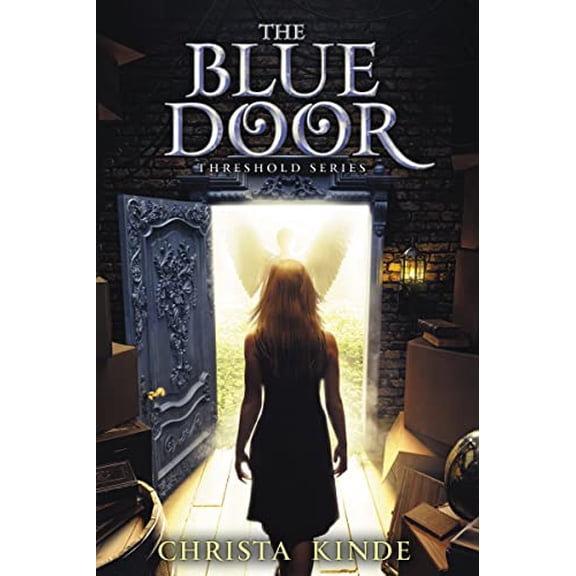 Pre-Owned The Blue Door (Hardcover) 0310724198 9780310724193