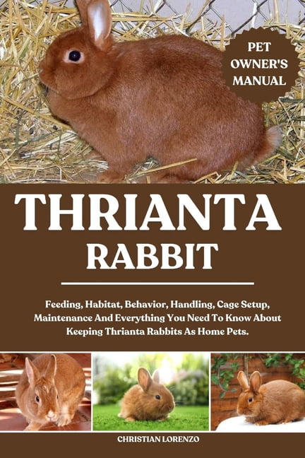 Thrianta Rabbit: Feeding, Habitat, Behavior, Handling, Cage Setup ...